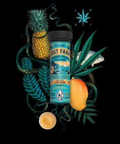 Lost Farm 10mg Tropical Punch Cannabis Gummy Edible infused with Sundae Driver