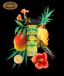 Lost Farm Tropical Fruit x Magic Melon Gummies
